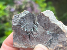 Load image into Gallery viewer, Olivenite
