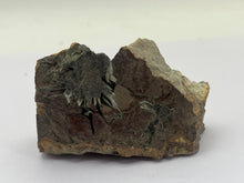 Load image into Gallery viewer, Olivenite
