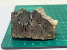 Load image into Gallery viewer, Olivenite
