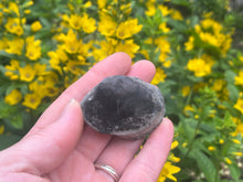 Load image into Gallery viewer, Conifer fossil wood
