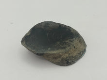 Load image into Gallery viewer, Conifer fossil wood
