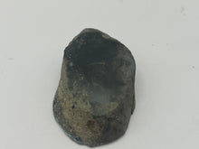 Load image into Gallery viewer, Conifer fossil wood
