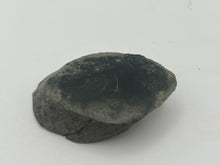 Load image into Gallery viewer, Conifer fossil wood

