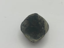 Load image into Gallery viewer, Conifer fossil wood
