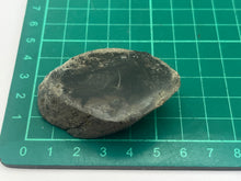 Load image into Gallery viewer, Conifer fossil wood
