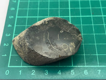 Load image into Gallery viewer, Conifer fossil wood
