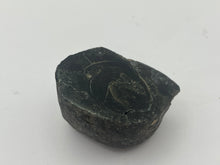 Load image into Gallery viewer, Conifer fossil wood
