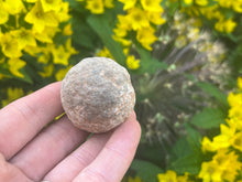 Load image into Gallery viewer, Moqui marbles (shaman stone)
