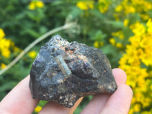 Load image into Gallery viewer, Apatite in fluorite
