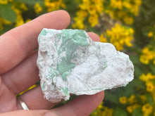 Load image into Gallery viewer, Variscite

