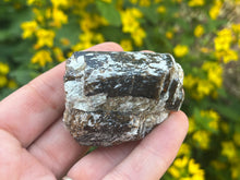 Load image into Gallery viewer, Dravite brown tourmaline
