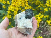 Load image into Gallery viewer, Phlogopite mica on orange calcite
