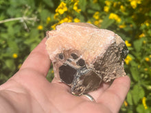 Load image into Gallery viewer, Phlogopite mica in orange calcite
