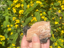 Load image into Gallery viewer, Phlogopite mica in orange calcite
