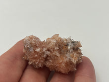 Load image into Gallery viewer, Creedite

