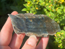 Load image into Gallery viewer, Labradorite
