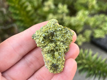 Load image into Gallery viewer, Epidote and Quartz
