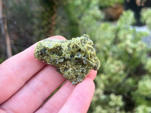 Load image into Gallery viewer, Epidote and Quartz
