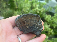 Load image into Gallery viewer, Hematite
