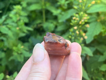 Load image into Gallery viewer, Carnelian
