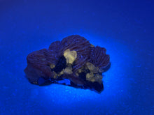 Load image into Gallery viewer, Cerussite, Baryte and galena

