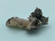Load image into Gallery viewer, Pyrite,Marcasite and Quartz
