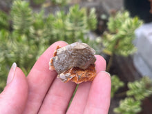Load image into Gallery viewer, Cerussite,Baryte and galena
