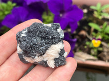 Load image into Gallery viewer, Cerussite,Baryte and sphalerite
