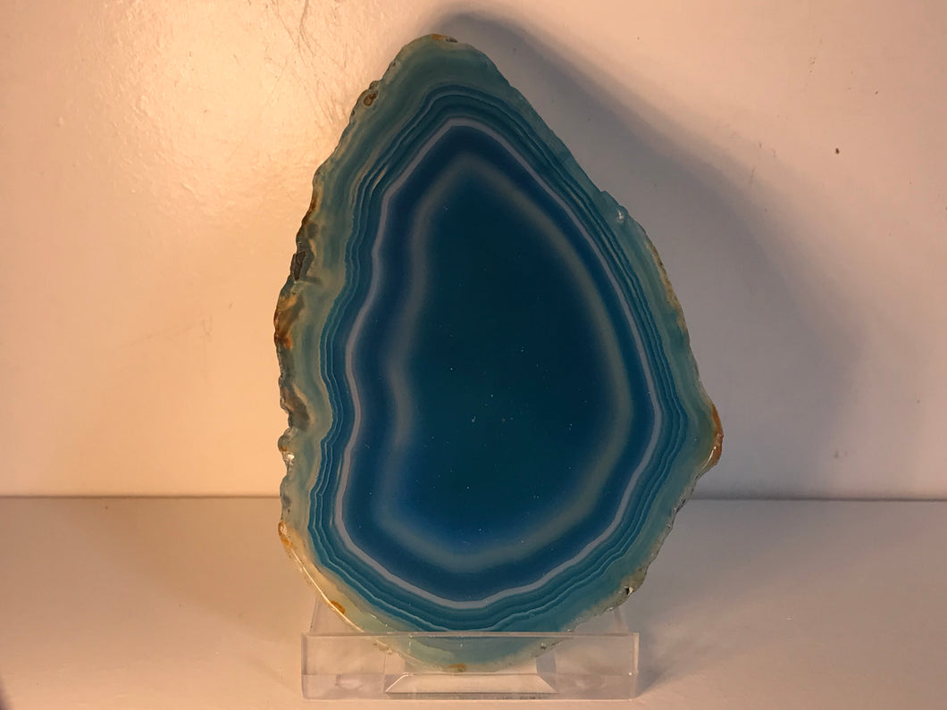 Blue dyed slice