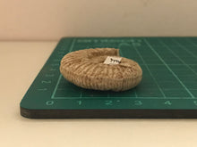 Load image into Gallery viewer, White ribbed ammonite fossil
