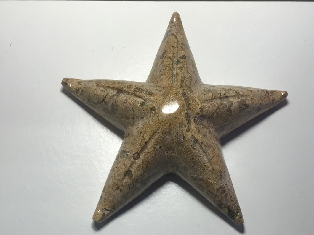 Fossil stone carved starfish