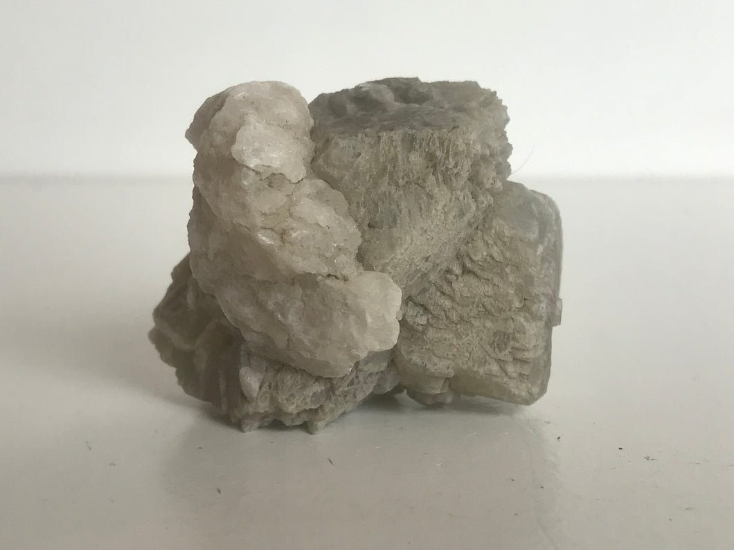 Tunellite