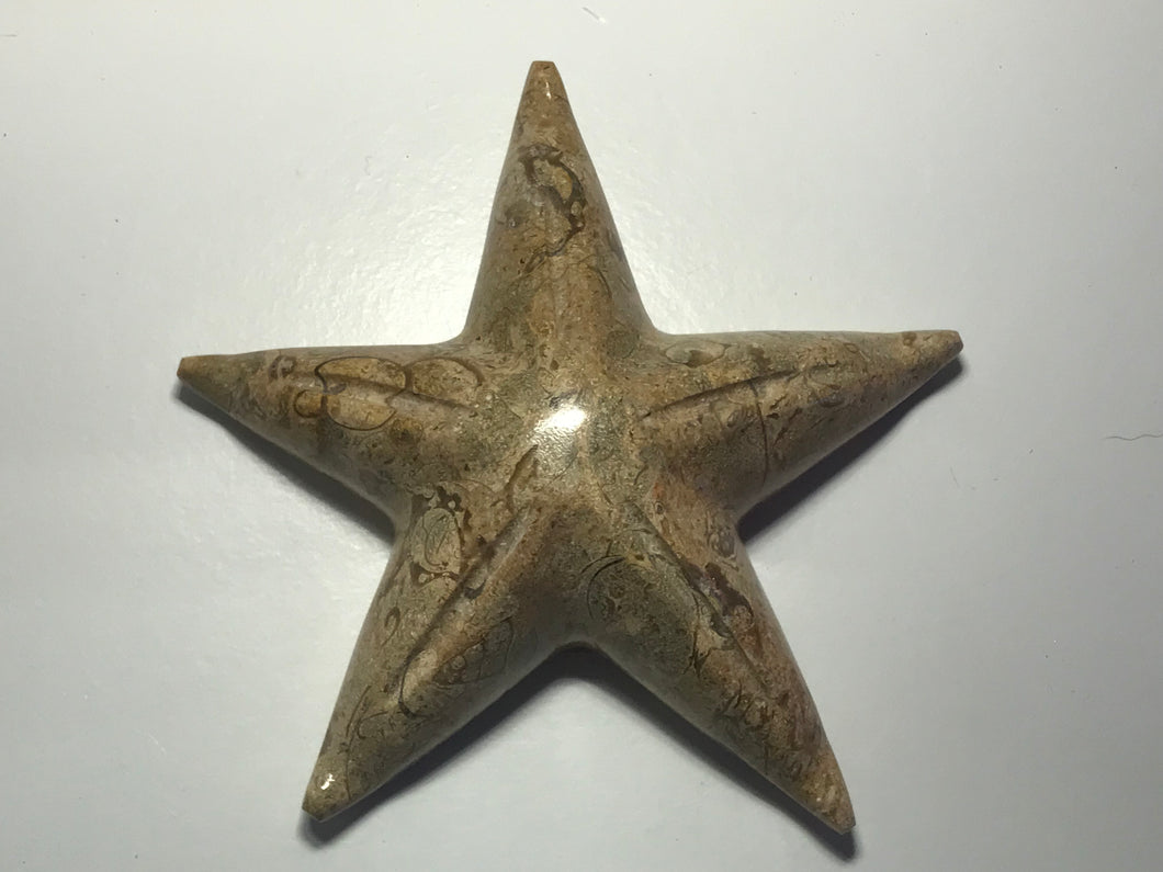 Fossil stone carved starfish