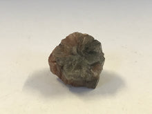 Load image into Gallery viewer, Aragonite
