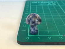 Load image into Gallery viewer, Sodalite Carved mushroom
