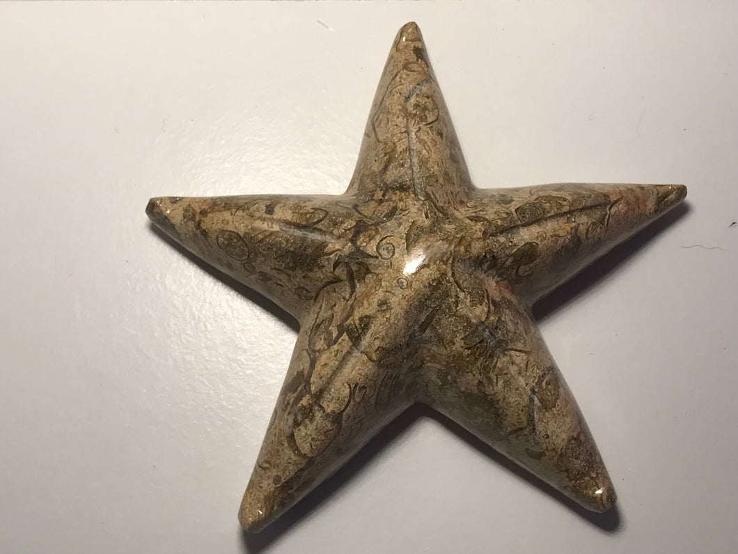 Fossil stone carved starfish