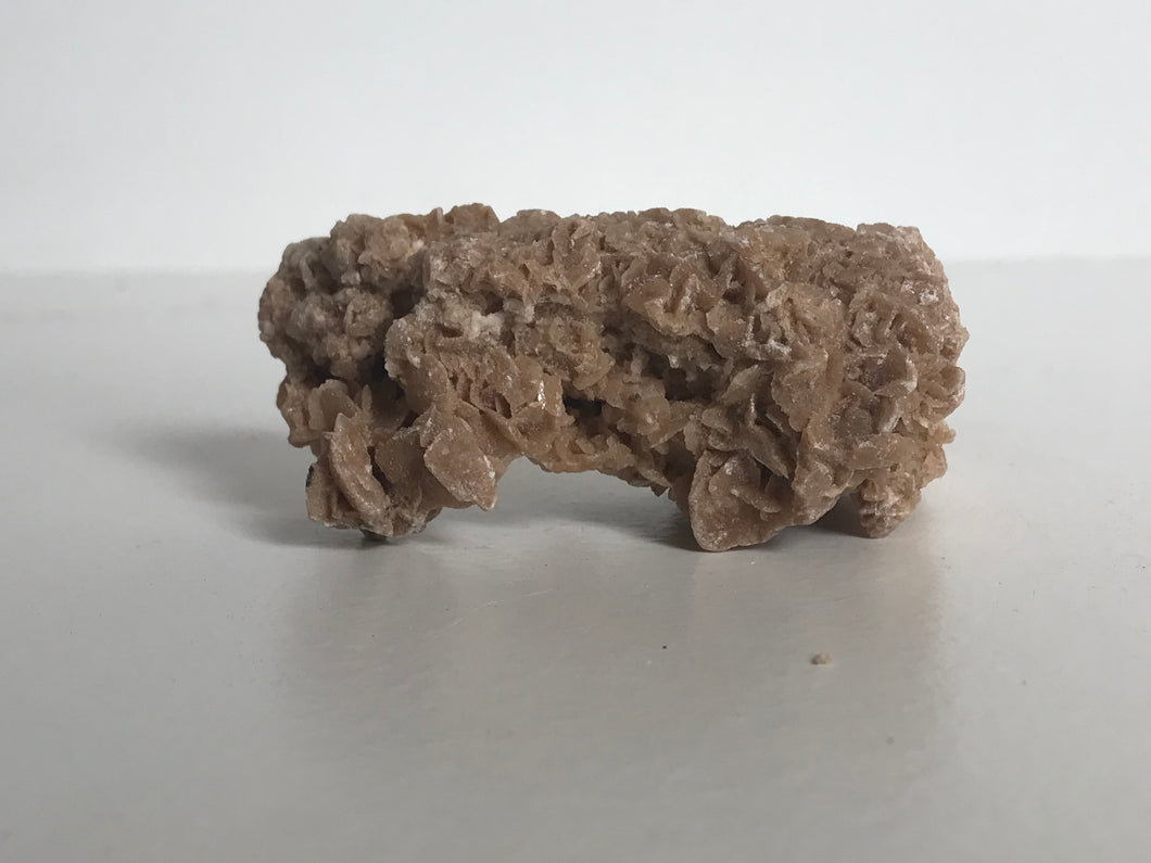 Desert rose (gypsum)