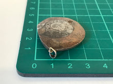 Load image into Gallery viewer, Ammonite pendant
