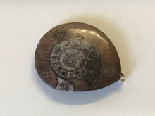 Load image into Gallery viewer, Ammonite pendant
