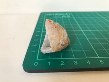 Load image into Gallery viewer, Mini half geode
