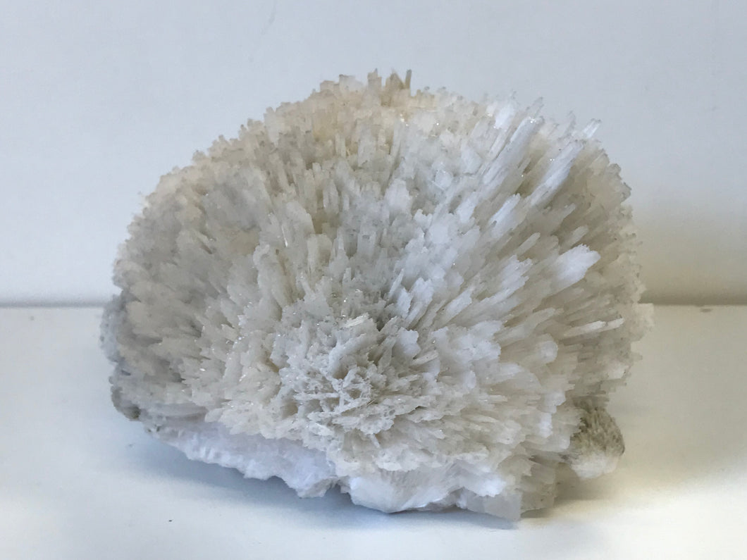 Scolecite