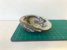 Load image into Gallery viewer, abalone shell
