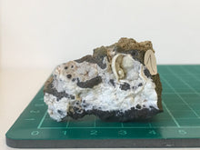 Load image into Gallery viewer, Aragonite in limonite
