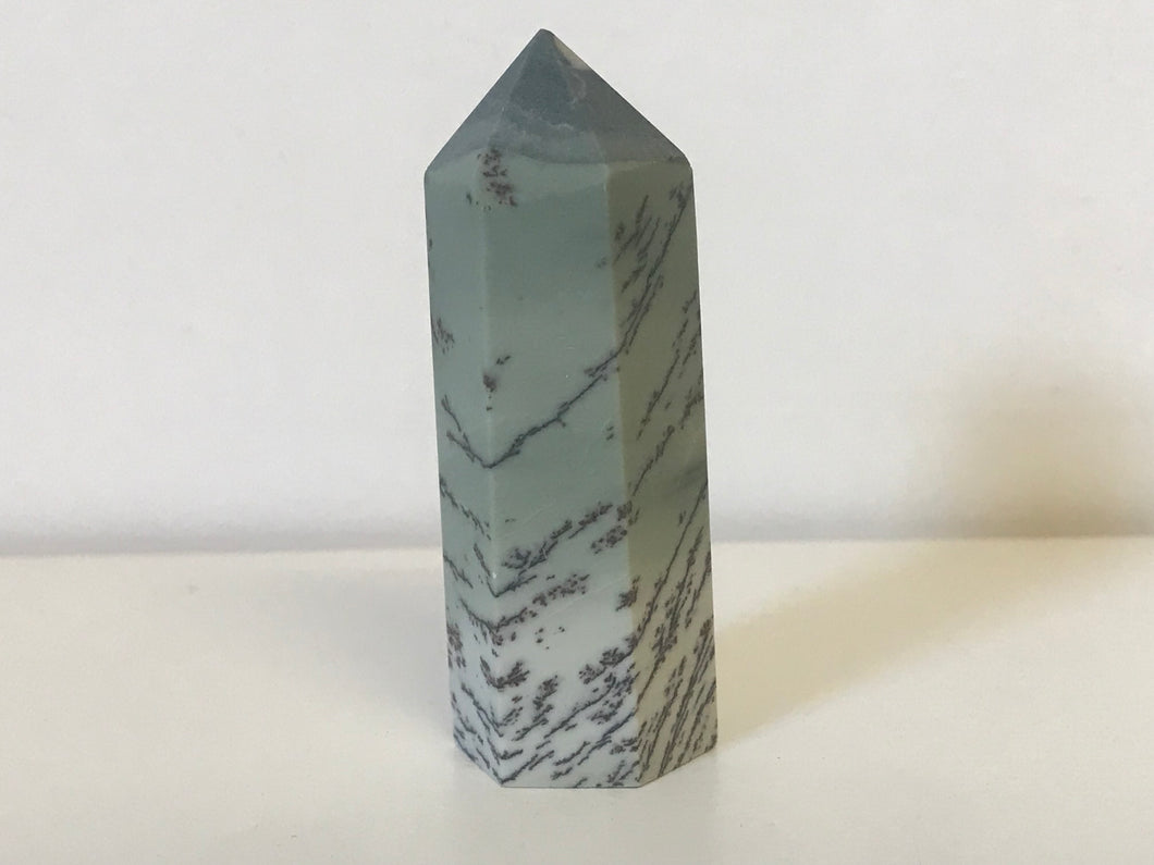 Dendritic opal point