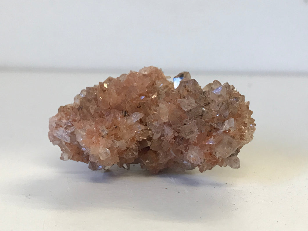 Creedite