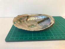 Load image into Gallery viewer, abalone shell
