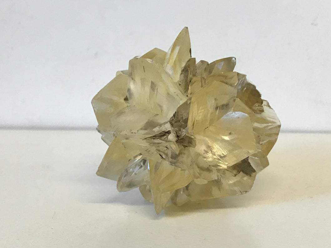 Special ~ Gypsum