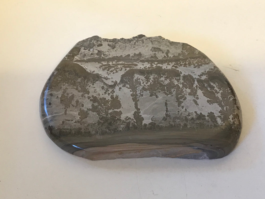 Stromatolites Cotham Marble