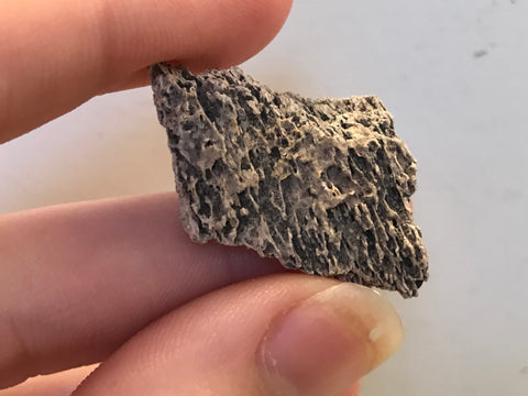 Mammoth fossils