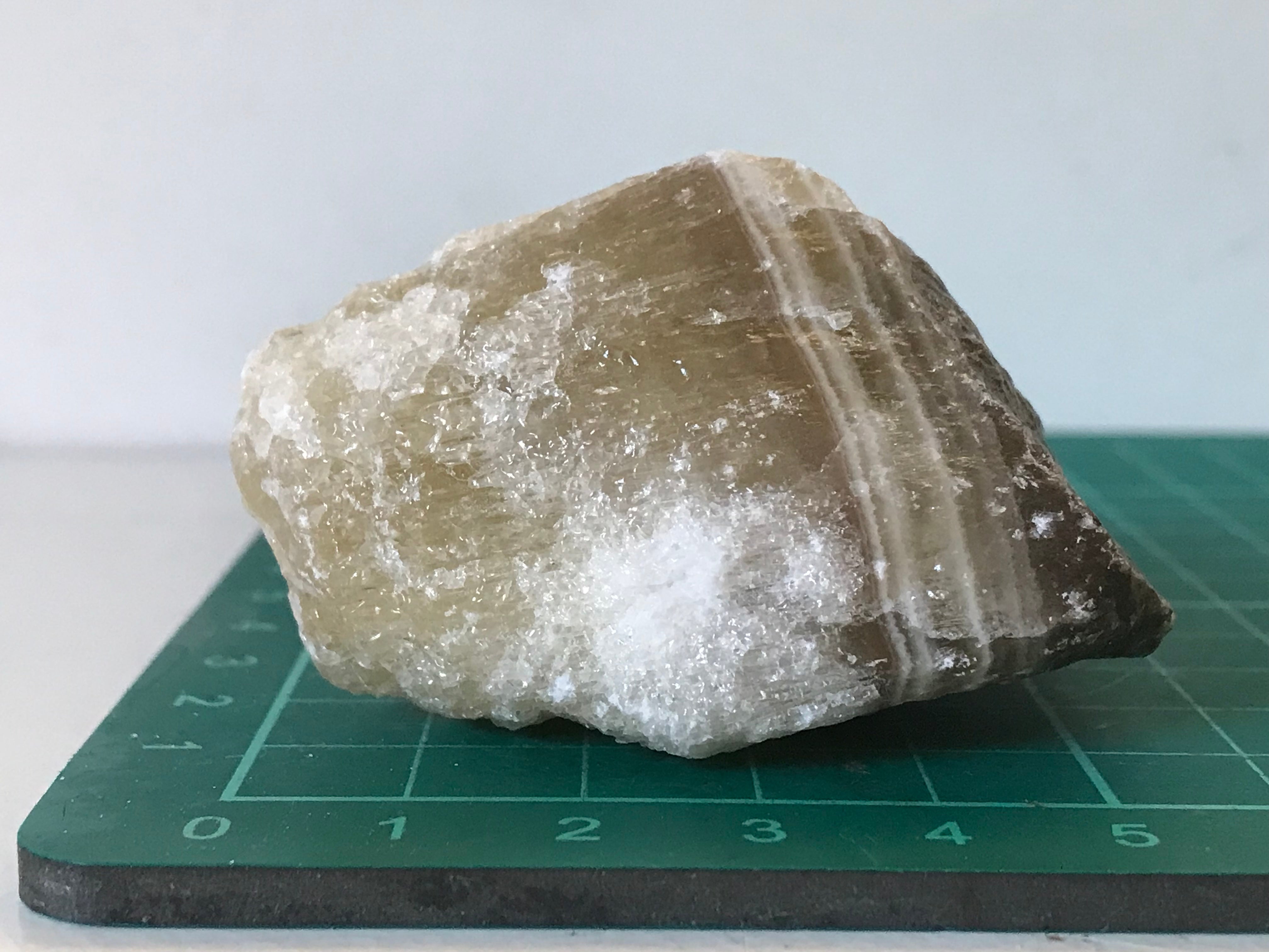 Zebra calcite – Crystal and fossils